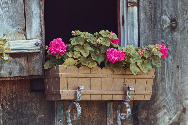 Handmade Ceramic Planter